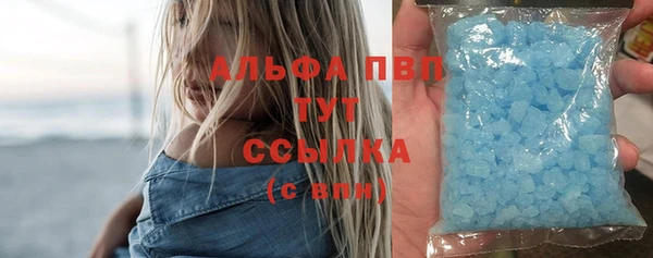 молекула духа Новозыбков
